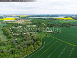 Parduodamas  sklypas Rašnavos k., Kauno r. sav., 295 a ploto 6