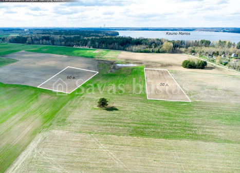 Parduodamas  sklypas Samylų k., Kauno r. sav., 50 a ploto