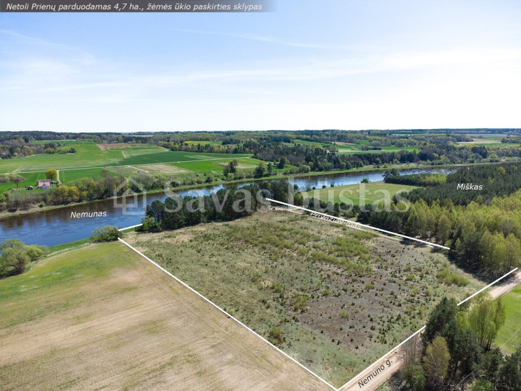 Parduodamas sklypas Nemuno g., Naravų k., Prienų r. sav., 470 a ploto 3