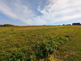 Parduodamas kitos paskirties sklypas Ežero g., Pieštuvėnų k., Prienų r. sav., 50.35 a ploto 4