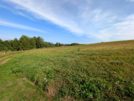 Parduodamas kitos paskirties sklypas Ežero g., Pieštuvėnų k., Prienų r. sav., 50.35 a ploto 5