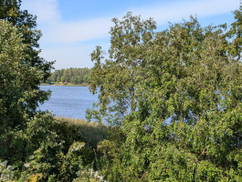 Parduodamas kitos paskirties sklypas Ežero g., Pieštuvėnų k., Prienų r. sav., 50.35 a ploto 7