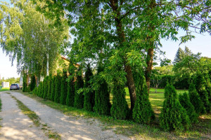 Parduodamas namas Biržų g., Alizavos mstl., Kupiškio r. sav., 113.71 m2 ploto, 1 aukštai 3