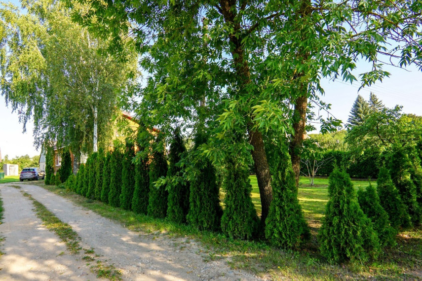Parduodamas namas Biržų g., Alizavos mstl., Kupiškio r. sav., 113.71 m2 ploto, 1 aukštai 3