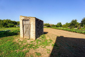 Parduodamas namas Biržų g., Alizavos mstl., Kupiškio r. sav., 113.71 m2 ploto, 1 aukštai 17