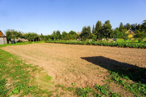 Parduodamas namas Biržų g., Alizavos mstl., Kupiškio r. sav., 113.71 m2 ploto, 1 aukštai 18
