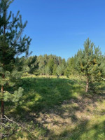 Parduodamas sklypas Minčios k., Utenos r. sav., 21.35 a ploto 11