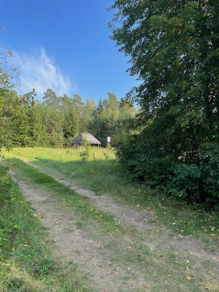Parduodamas sklypas Minčios k., Utenos r. sav., 21.35 a ploto 12