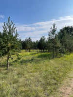 Parduodamas sklypas Minčios k., Utenos r. sav., 21.35 a ploto 13