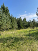 Parduodamas sklypas Minčios k., Utenos r. sav., 21.35 a ploto 14