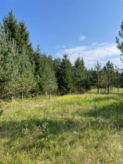 Parduodamas sklypas Minčios k., Utenos r. sav., 21.35 a ploto 14