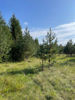 Parduodamas sklypas Minčios k., Utenos r. sav., 21.35 a ploto 15