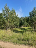 Parduodamas sklypas Minčios k., Utenos r. sav., 21.35 a ploto 16