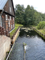Parduodamas sklypas Minčios k., Utenos r. sav., 21.35 a ploto 19