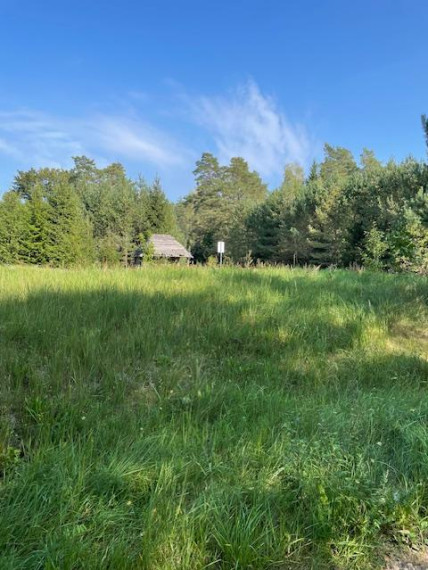 Parduodamas sklypas Minčios k., Utenos r. sav., 21.35 a ploto 10