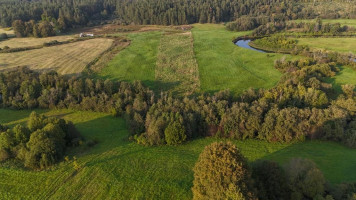 Parduodamas sklypas Vilkabrukių k., Anykščių r. sav., 200 a ploto 6