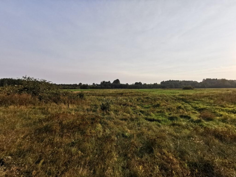 Parduodamas sklypas Vilkabrukių k., Anykščių r. sav., 200 a ploto 7