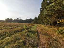 Parduodamas sklypas Vilkabrukių k., Anykščių r. sav., 200 a ploto 8