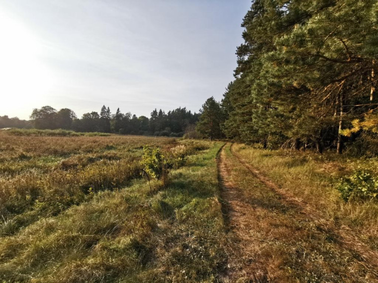 Parduodamas sklypas Vilkabrukių k., Anykščių r. sav., 200 a ploto 8