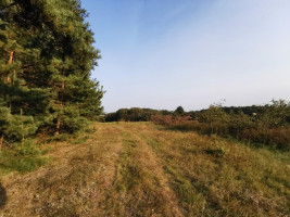 Parduodamas sklypas Vilkabrukių k., Anykščių r. sav., 200 a ploto 9