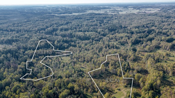 Parduodamas  sklypas Šventakalnio k., Širvintų r. sav., 2247 a ploto 10