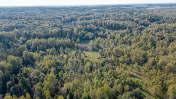 Parduodamas  sklypas Šventakalnio k., Širvintų r. sav., 2247 a ploto 11