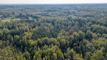 Parduodamas  sklypas Šventakalnio k., Širvintų r. sav., 2247 a ploto 15