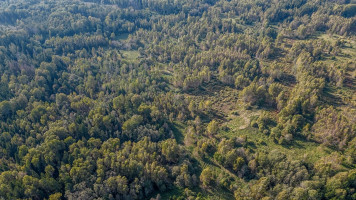 Parduodamas  sklypas Šventakalnio k., Širvintų r. sav., 2247 a ploto 13