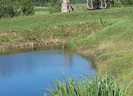 Parduodamas sklypas Lankų g., Ažubalių k., Molėtų r. sav., 53.80 a ploto