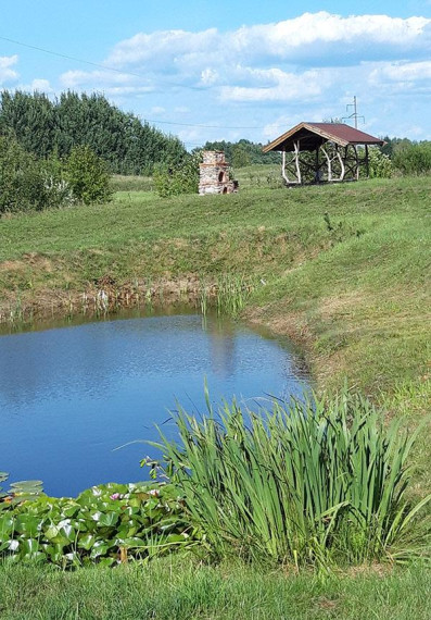 Parduodamas sklypas Lankų g., Ažubalių k., Molėtų r. sav., 53.80 a ploto 1