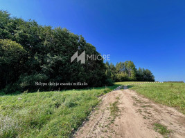 Parduodamas sklypas Dvarykščių k., Vilniaus r. sav., 316 a ploto 6