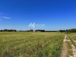 Parduodamas sklypas Dvarykščių k., Vilniaus r. sav., 316 a ploto 8