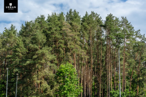 Parduodamas butas Jonažolių g., Lazdynėliuose, Vilniuje, 75 kv.m ploto 22