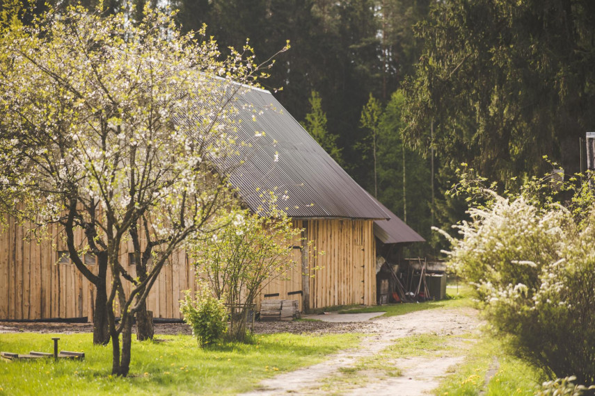 Parduodamas namas Miško g., Albertavos k., Jonavos r. sav., 359.06 m² ploto 4 kambariai 33