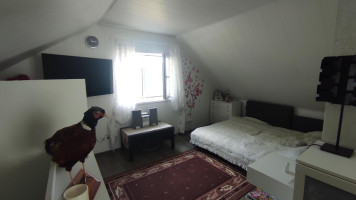 Parduodamas namas Draugystės al., Kaubariškio k., Panevėžio r. sav., 44.54 m² ploto 2 kambariai 11