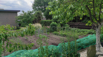 Parduodamas namas Draugystės al., Kaubariškio k., Panevėžio r. sav., 44.54 m² ploto 2 kambariai 21