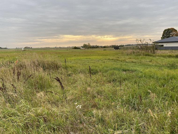 Parduodamas sklypas Erškėčių g., Janušavos k., Kėdainių r. sav., 12.86 a ploto 12