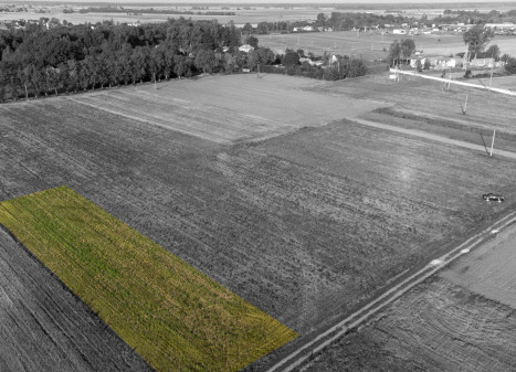 Parduodamas sklypas Gėlainių g., Gėlainių k., Kėdainių r. sav., 12.51 a ploto