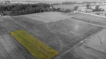 Parduodamas sklypas Gėlainių g., Gėlainių k., Kėdainių r. sav., 12.51 a ploto 1