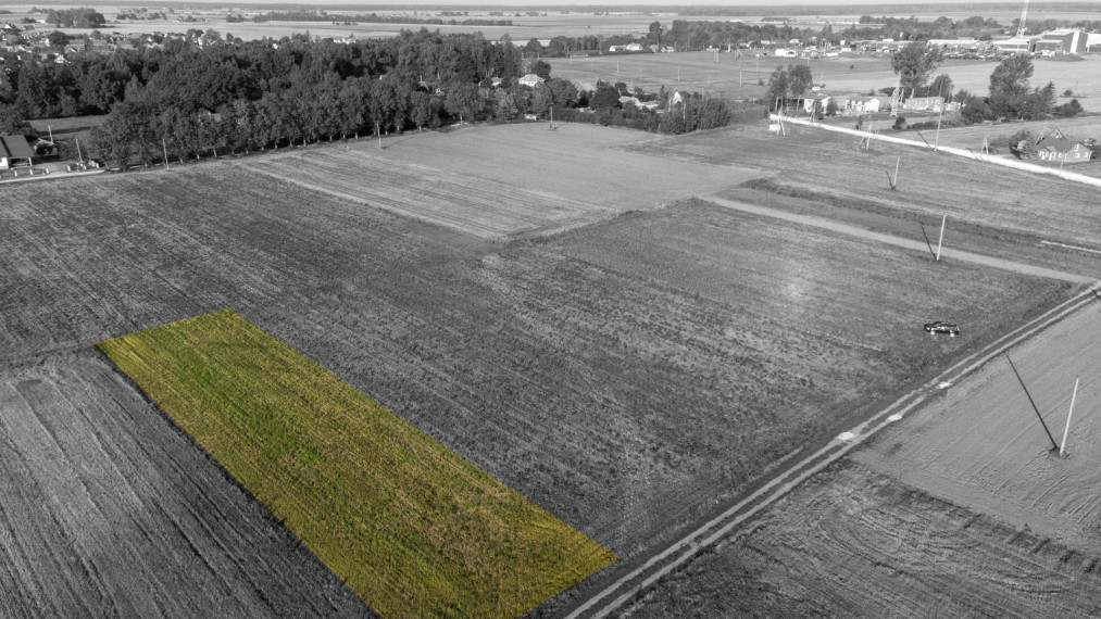 Parduodamas sklypas Gėlainių g., Gėlainių k., Kėdainių r. sav., 12.51 a ploto 1