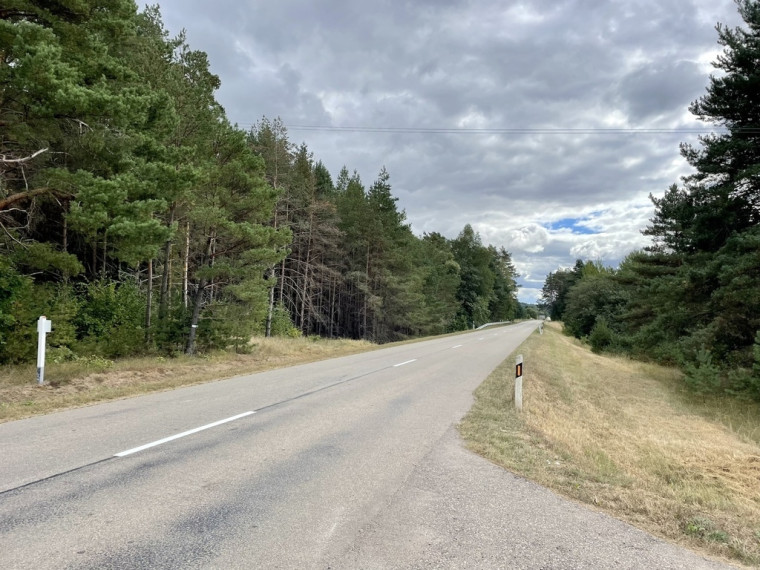 Parduodamas sklypas Kalniškių k., 265 a ploto 2