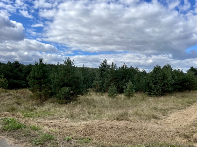 Parduodamas sklypas Kalniškių k., 265 a ploto 4