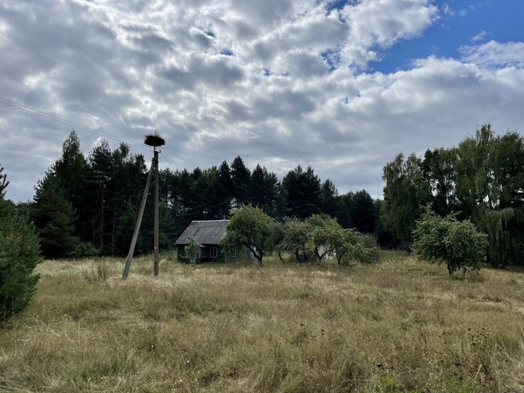 Parduodamas sklypas Kalniškių k., 265 a ploto 5