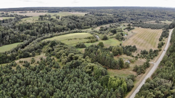 Parduodamas sklypas Kalniškių k., 265 a ploto 8
