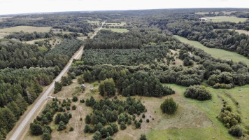 Parduodamas sklypas Kalniškių k., 265 a ploto 13