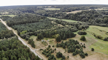 Parduodamas sklypas Kalniškių k., 265 a ploto 14