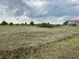 Parduodamas namų valdos paskirties sklypas Sodelio g., Toliočių k., Šiaulių r. sav., 9.16 a ploto 7