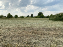 Parduodamas namų valdos paskirties sklypas Sodelio g., Toliočių k., Šiaulių r. sav., 9.16 a ploto 10