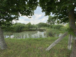 Parduodamas namų valdos paskirties sklypas Sodelio g., Toliočių k., Šiaulių r. sav., 9.16 a ploto 13