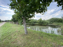 Parduodamas namų valdos paskirties sklypas Sodelio g., Toliočių k., Šiaulių r. sav., 9.16 a ploto 14